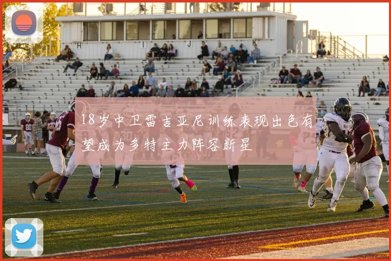 18岁中卫雷吉亚尼训练表现出色有望成为多特主力阵容新星