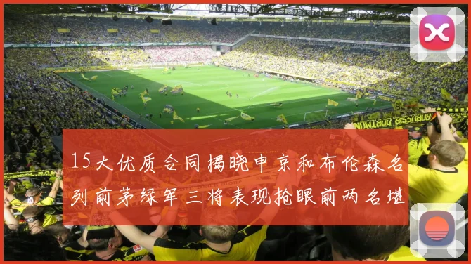 15大优质合同揭晓申京和布伦森名列前茅绿军三将表现抢眼前两名堪称传奇