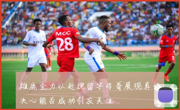 雄鹿全力以赴挽留字母哥展现真诚决心能否成功引发关注